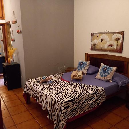 Bed and Breakfast Divin'Art Ribeira Grande Екстер'єр фото